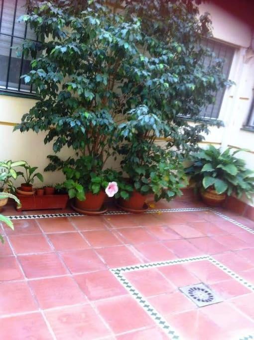 Apartamento Paola Эль-Пуэрто-де-Санта-Мария Экстерьер фото